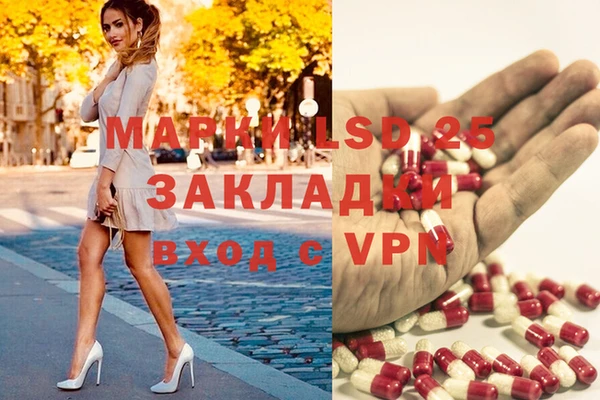 прущий лед Алзамай