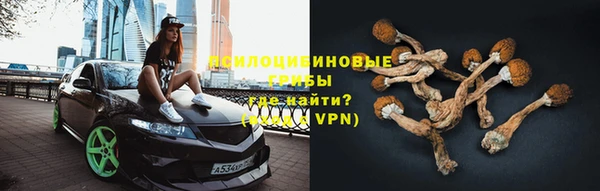 прущий лед Алзамай