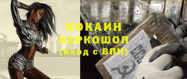 прущий лед Алзамай