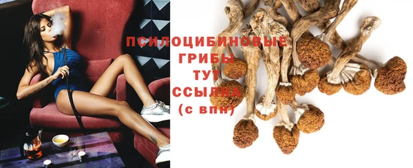 прущий лед Алзамай