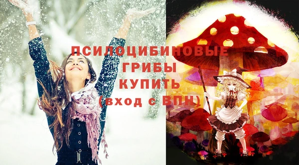 прущий лед Алзамай