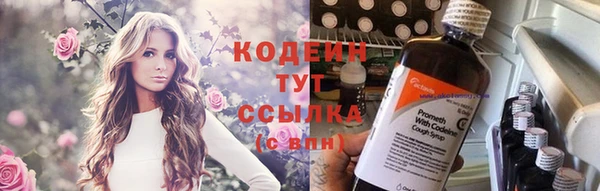 прущий лед Алзамай