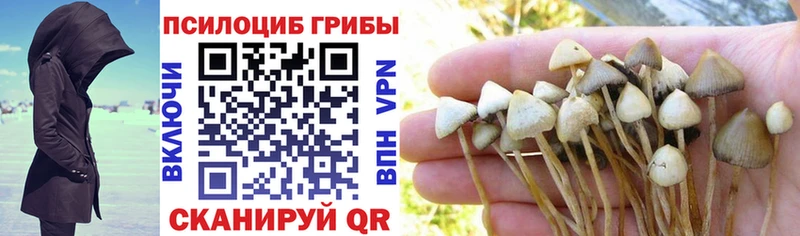 Псилоцибиновые грибы MAGIC MUSHROOMS  Кемь 